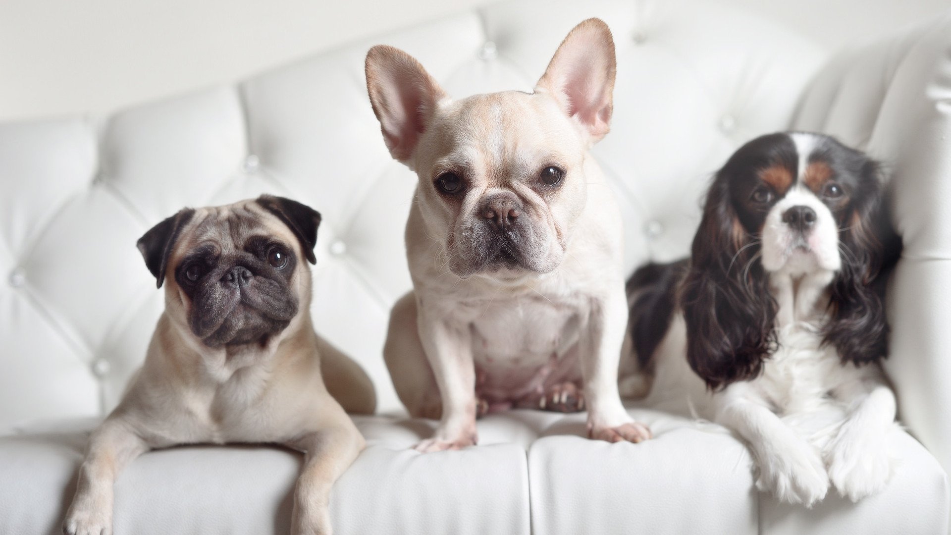 国家队战术创新为何步履维艰，国家队战斗